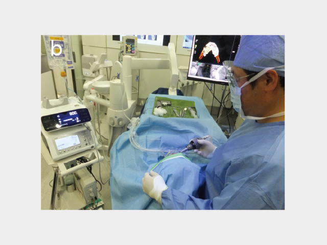 図1: b) SurgicPro2とVarioSurg 3を用いたインプラント手術