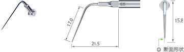 Endodontics/E5 -varios